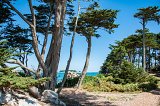 Roscoff en été