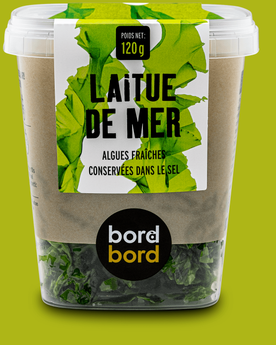 Algue fraîche salée : Laitue de mer - Recettes de cuisine aux algues ...