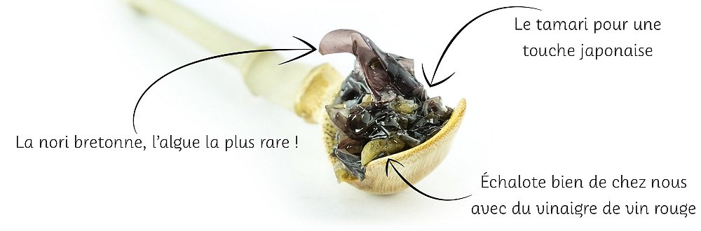 recette tartare de nori