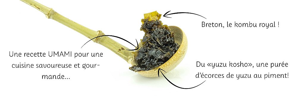 Condiment aux algues bio