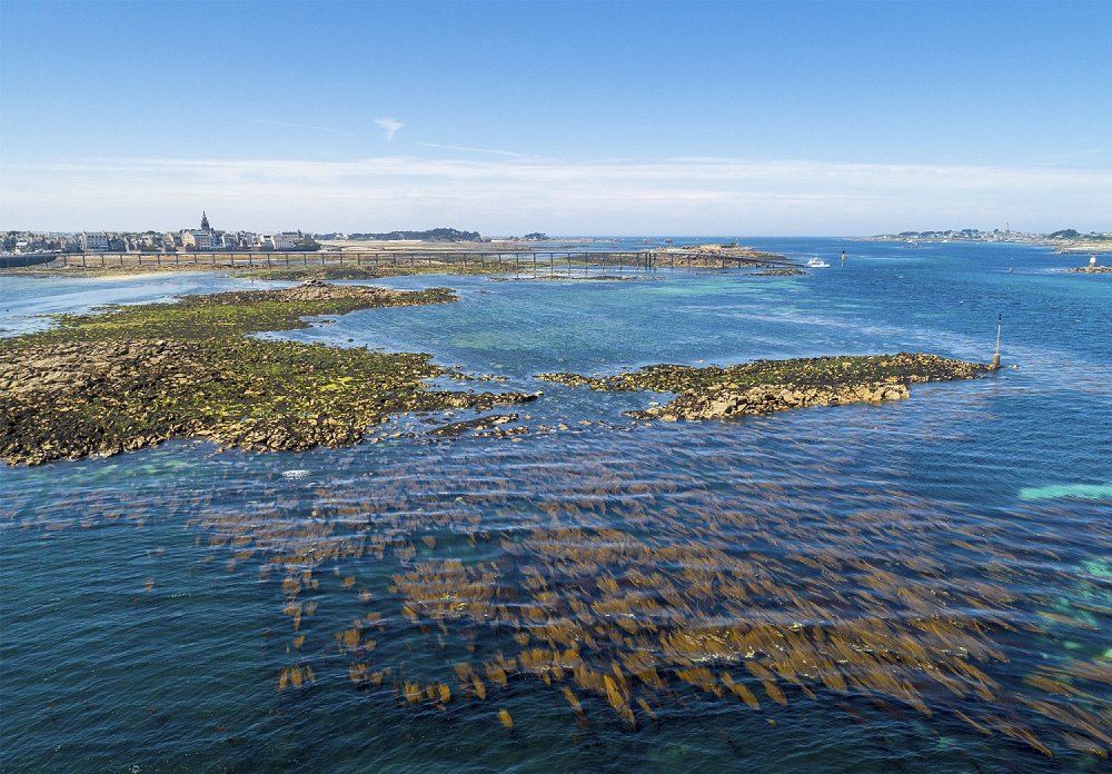 Roscoff et son estacade