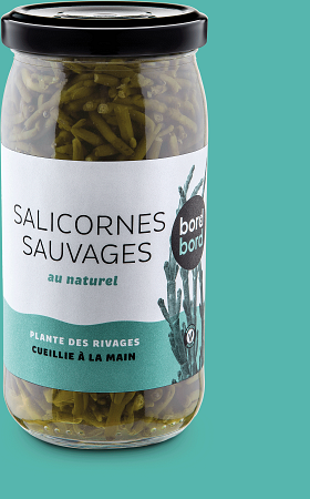 Salicornes Bord à bord