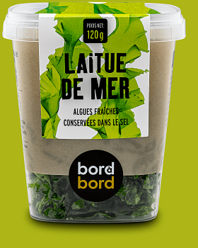 Laitue de mer algue biologique