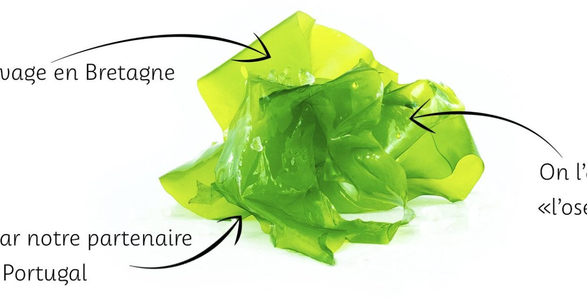 Algue fraîche salée : Laitue de mer - Produits et recettes d'algues ...