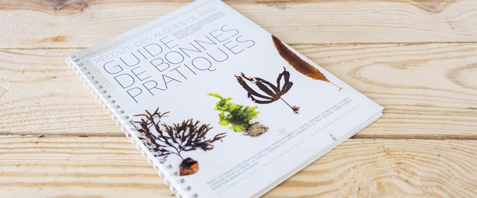 Guide des bonnes pratiques