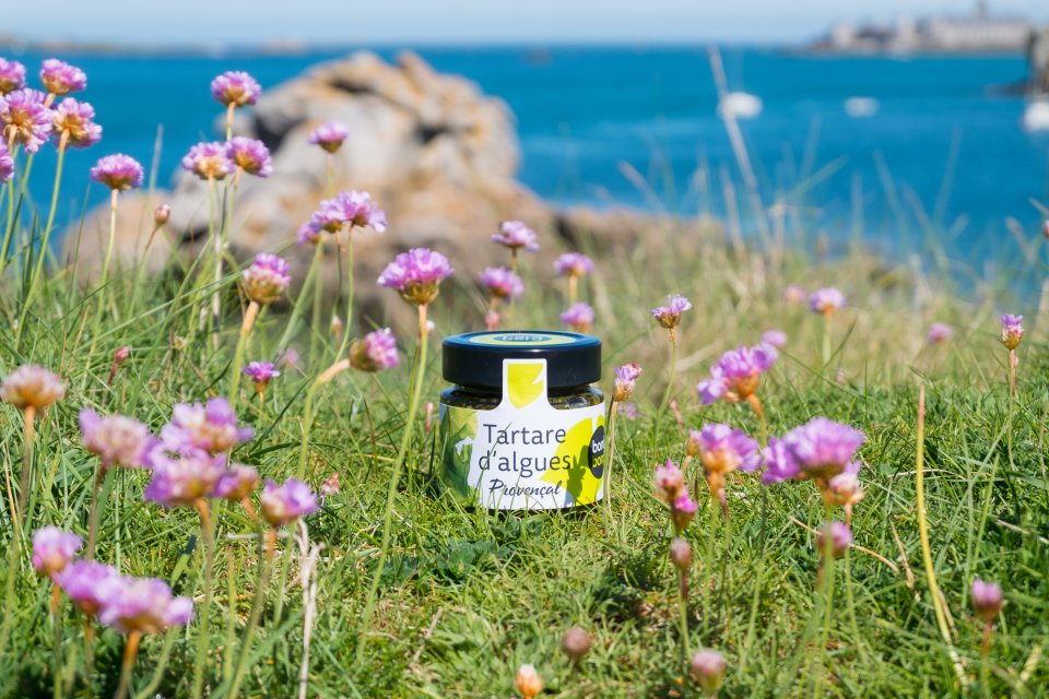 Tartare d'algues